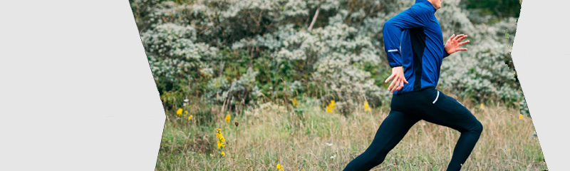 Cms-Banner1.jpg